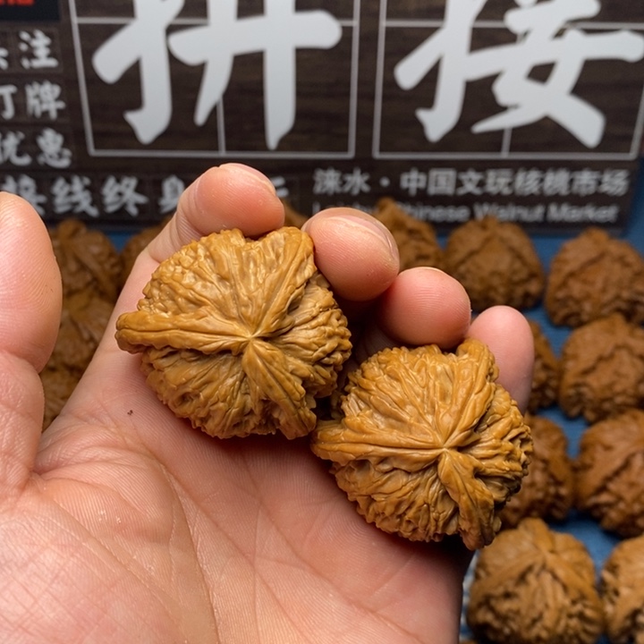 风***大文玩核桃文玩核桃