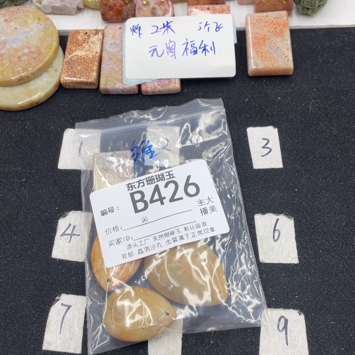 硅化珊瑚（珊瑚玉）颈饰合金维****术