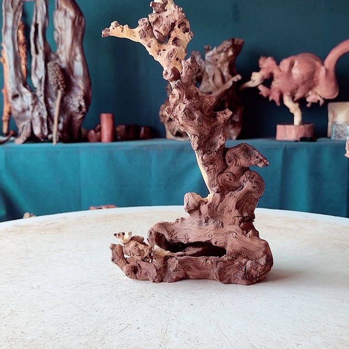 黑果木李*森783金丝红木羊蹄甲半成品