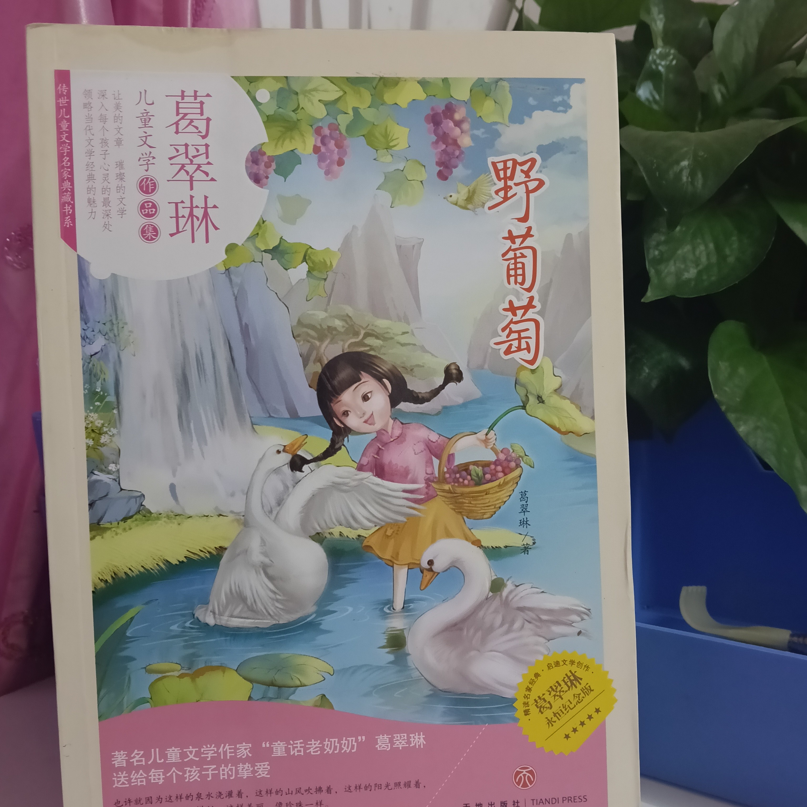 瑕疵书野葡萄葛翠琳永恒纪念版传世文学典藏书系