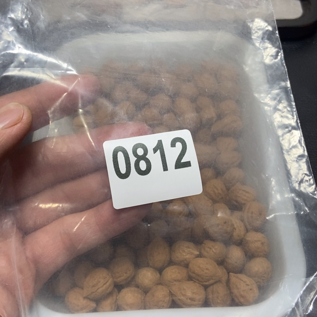 文玩核桃吊坠我****了秋子