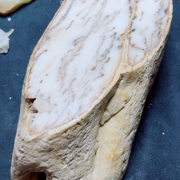 游***儿和田玉（糖玉）未镶嵌珠宝奇石