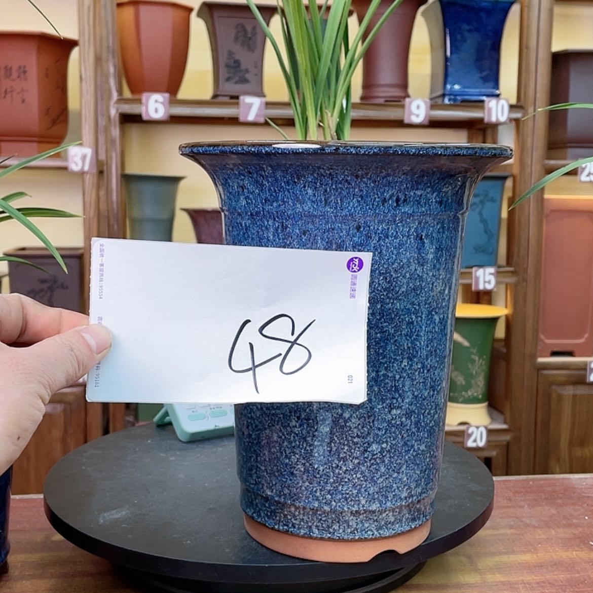 【闪购商品】紫砂花盆兰花643454845848484584