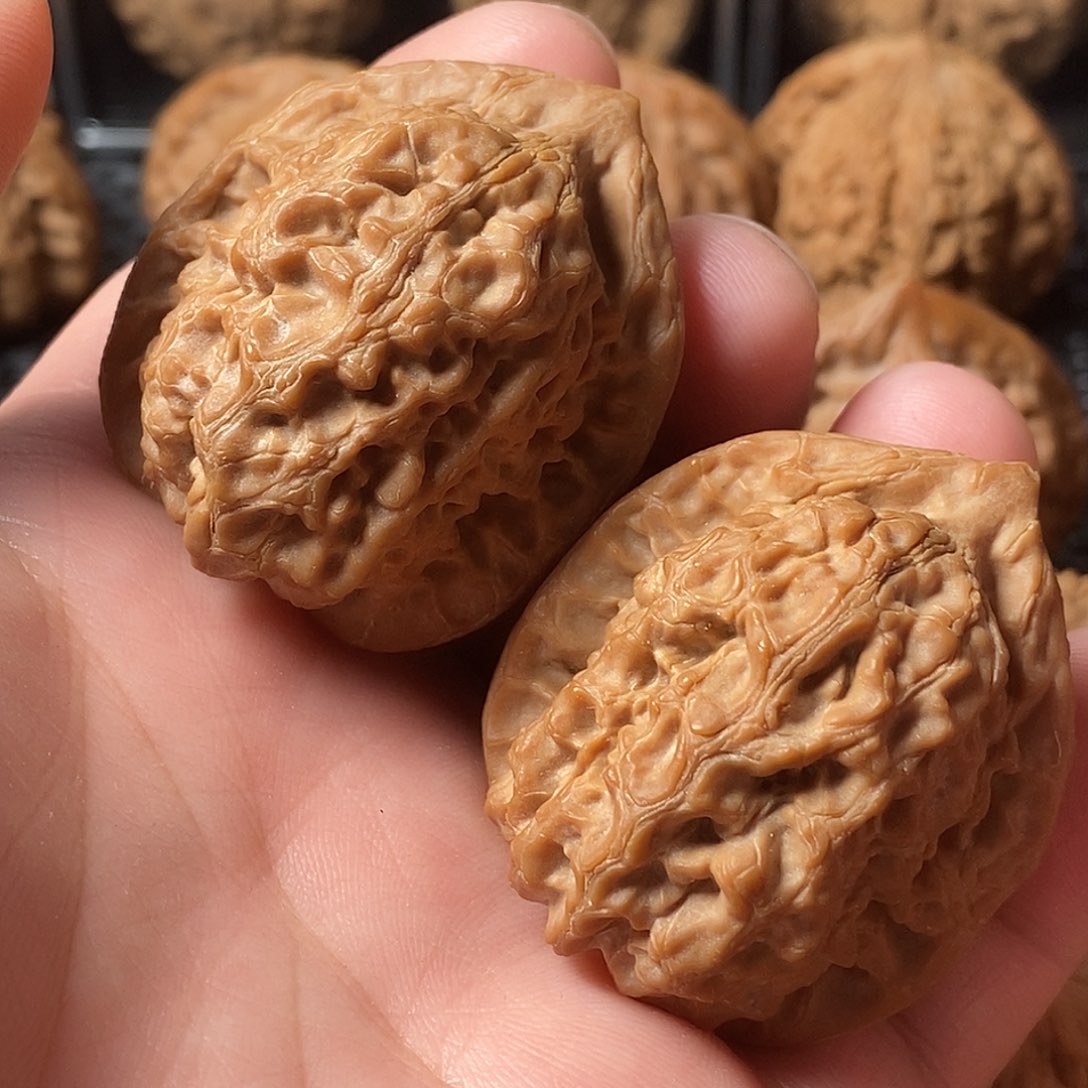 核桃手串/手链观音肚37尺