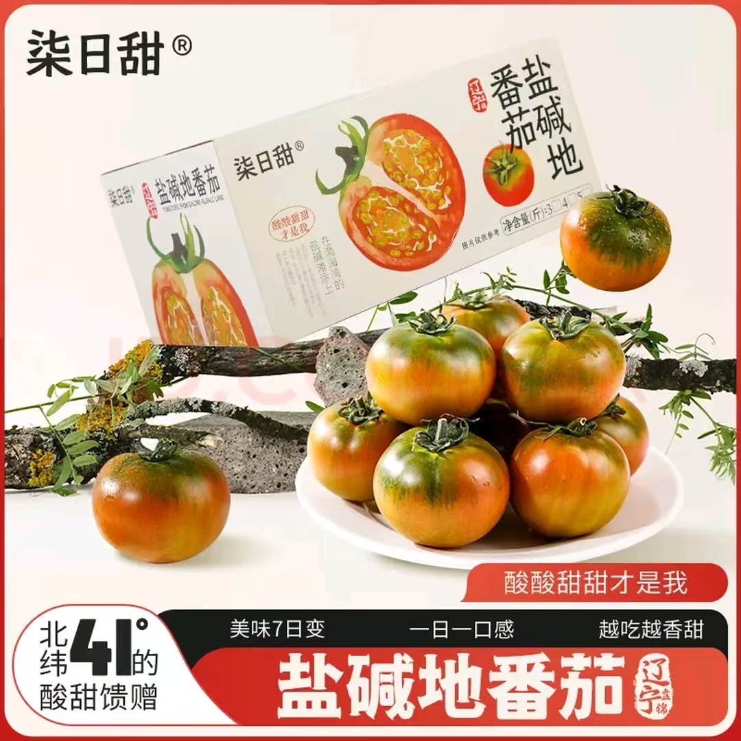 盘锦盐碱地现摘铁皮柿子软糯可口，酸甜适中。5斤（金牌）