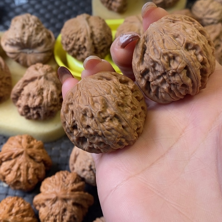 38全品磨盘无修无修无修