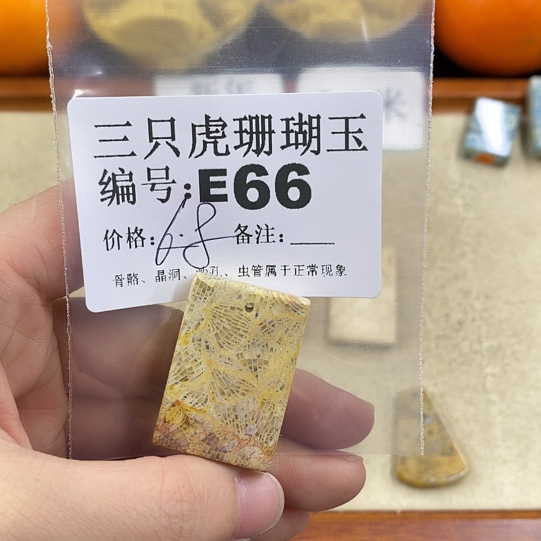硅化珊瑚（珊瑚玉）1未镶嵌散***奇
