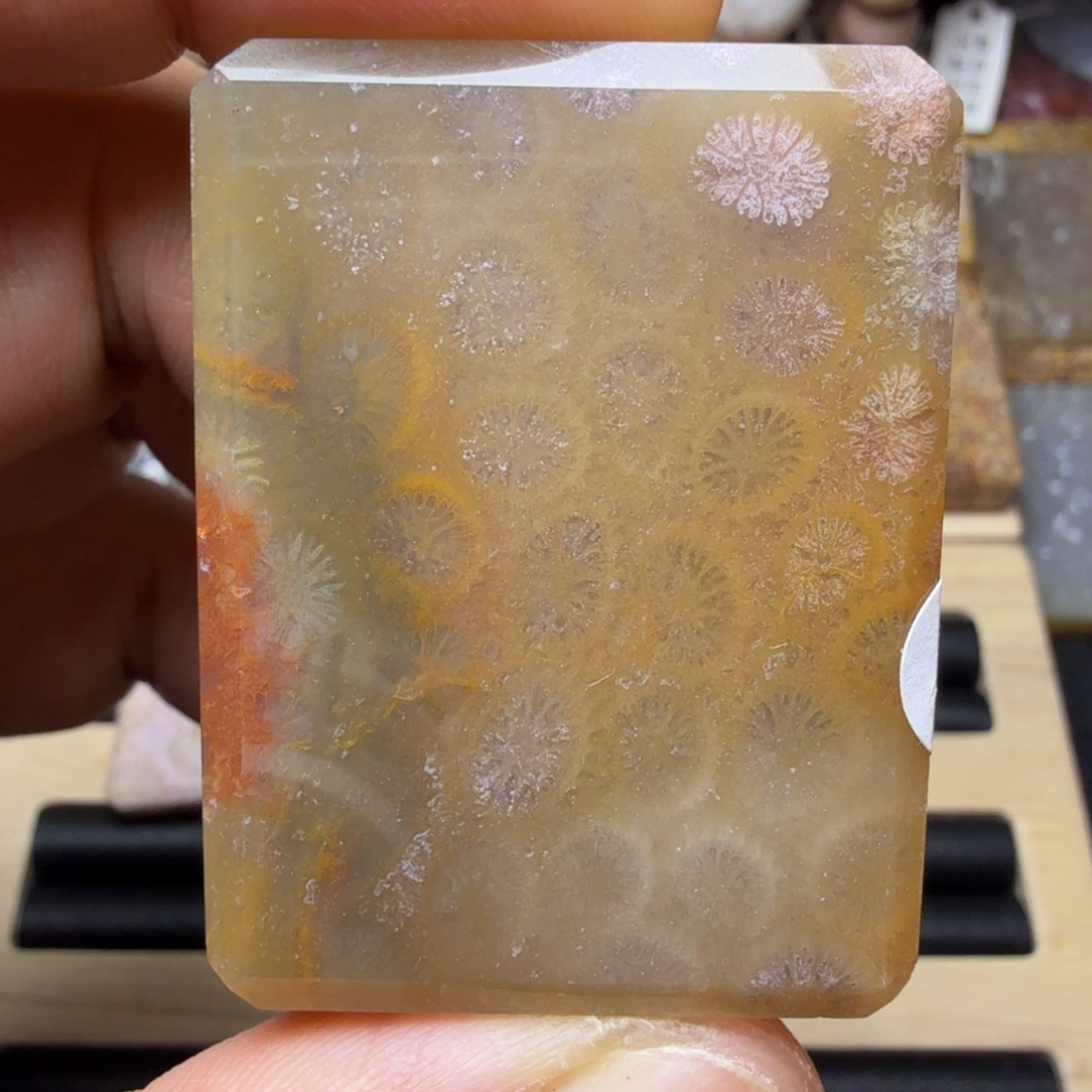 硅化玉未镶嵌纯天然色有机玉石保真色