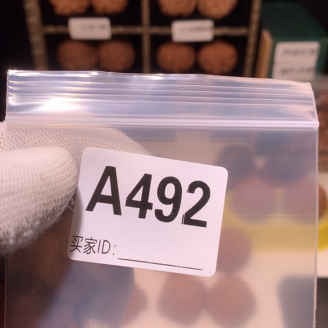 派***派文玩核桃把件492血麒麟