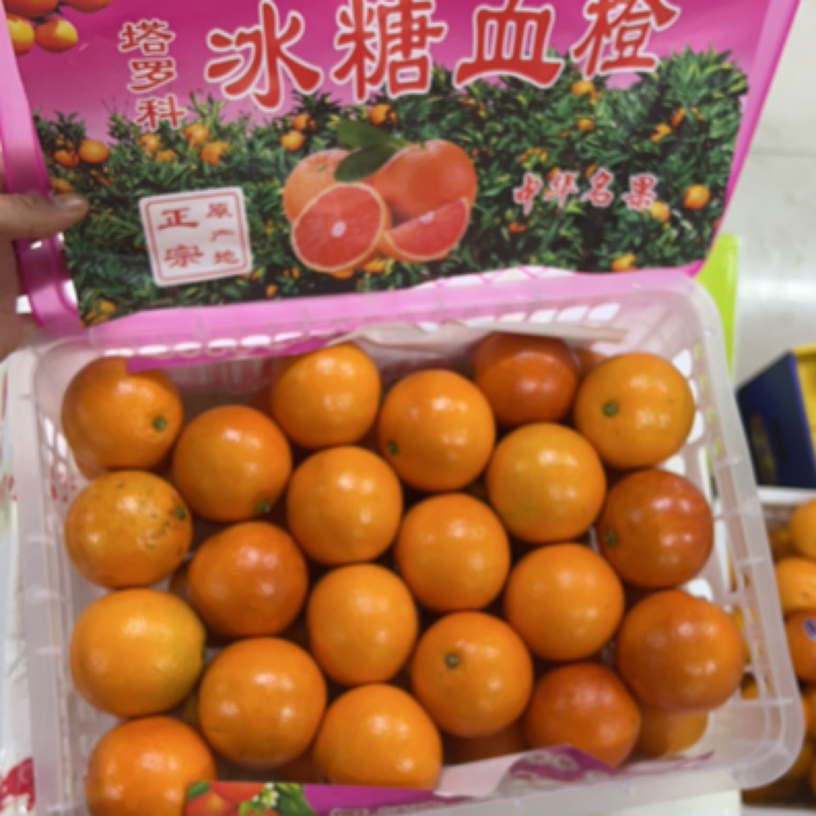 四川冰糖血橙味道纯正嘎嘎好吃