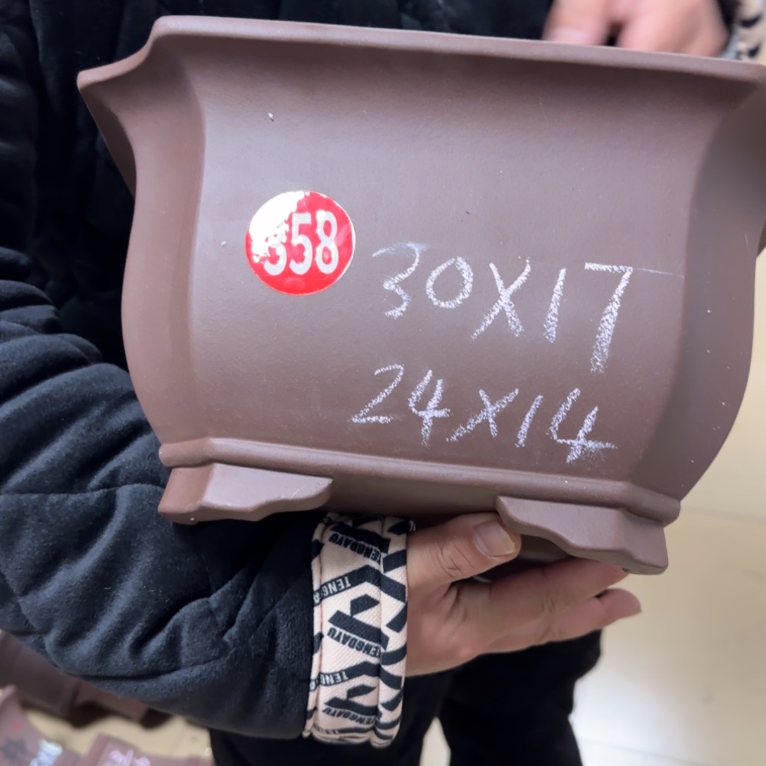 紫砂花盆呜呜呜我真的好