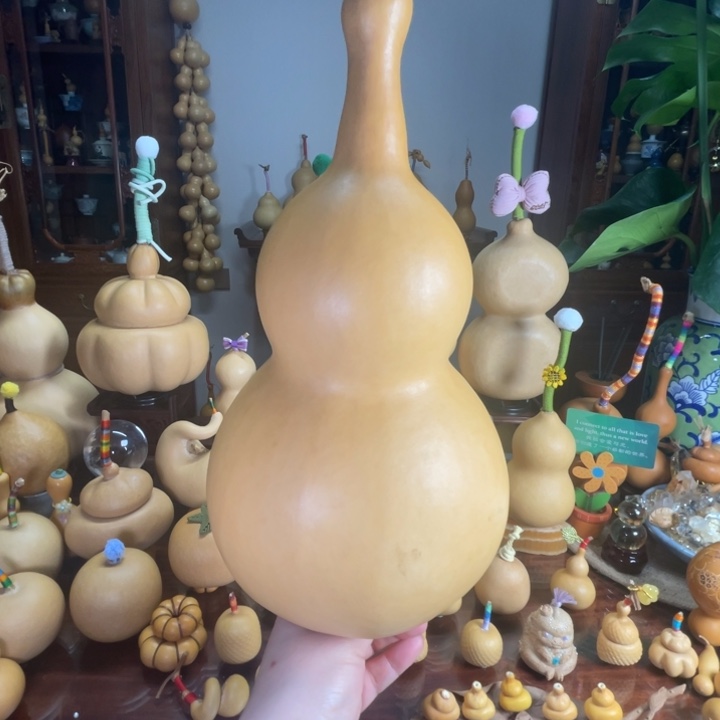 V***a葫芦福福2026发财暴富