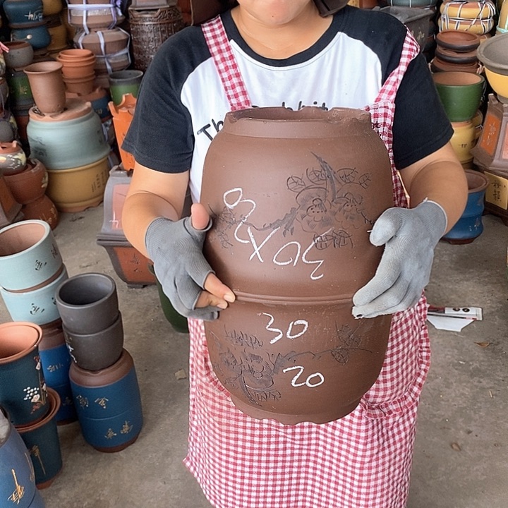 紫砂花盆盆栽植物花卉苗木种植