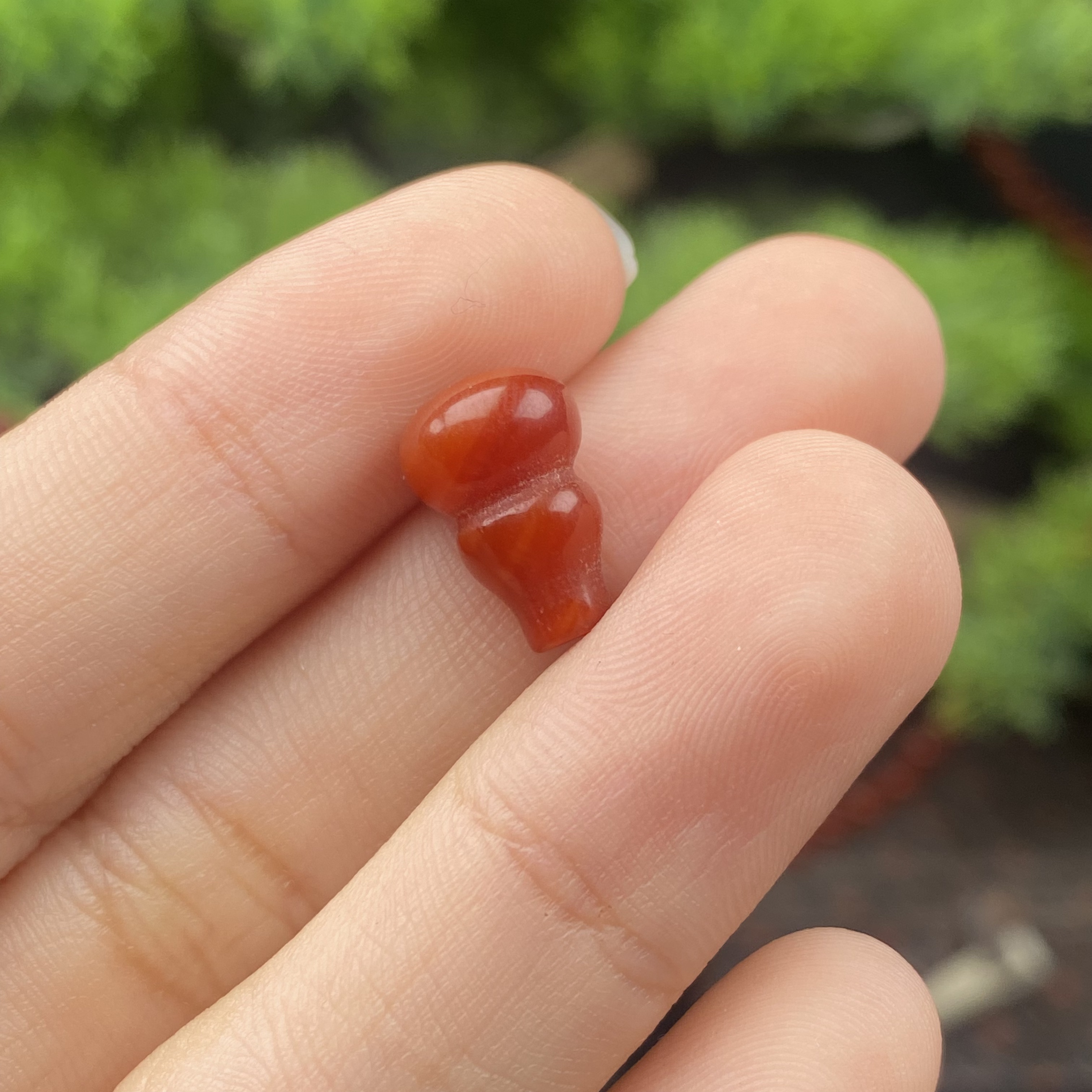 天然柿子红8*13mm葫芦弟子珠【多样性发一】