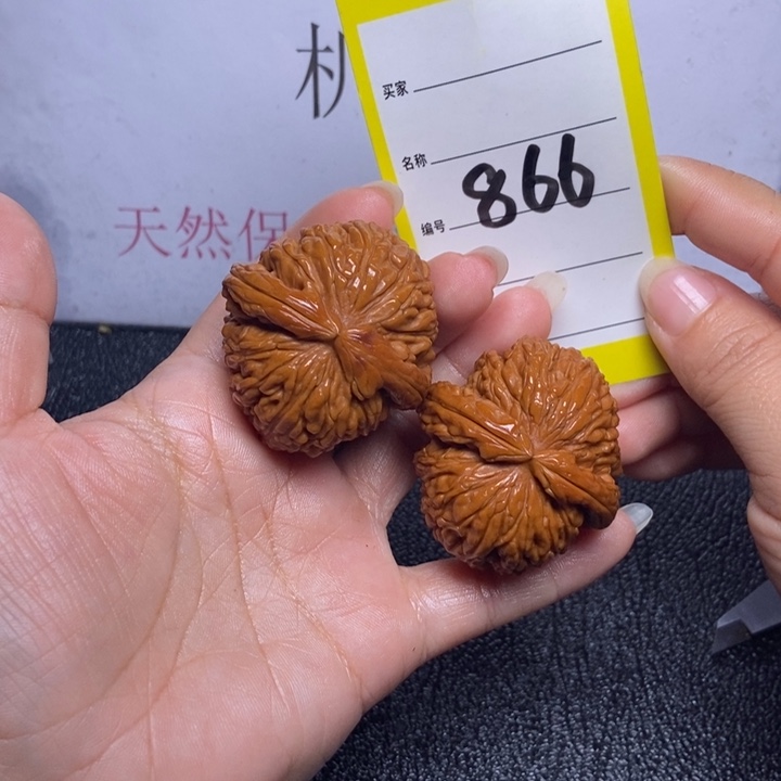文玩核桃把件866/41.5粗筋闷白尖部反油