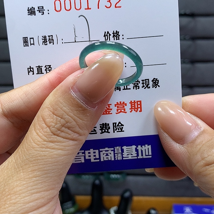 翡翠戒指未镶嵌 000001732