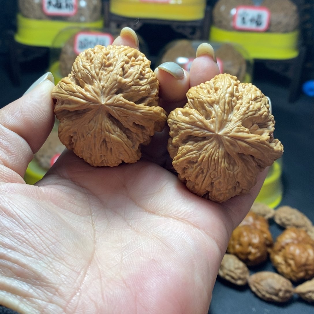文玩核桃把件21号大粗筋对歪型44尺