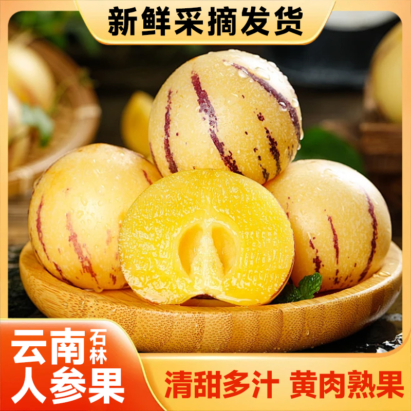 云南石林人参果黄肉多汁新鲜采摘应季水果树上成熟超甜黄心大果