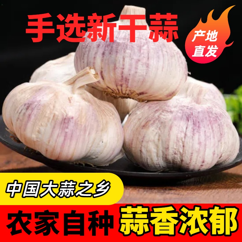 【农家干大蒜】干大蒜9斤（特大果）紫白皮大蒜大蒜头杞县大蒜