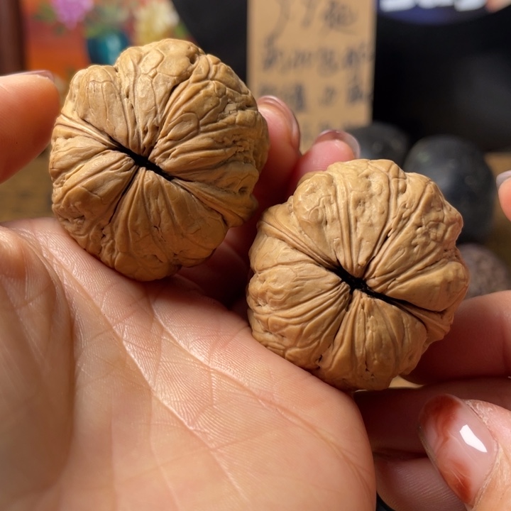 冠*云南铁核桃默认微瑕66