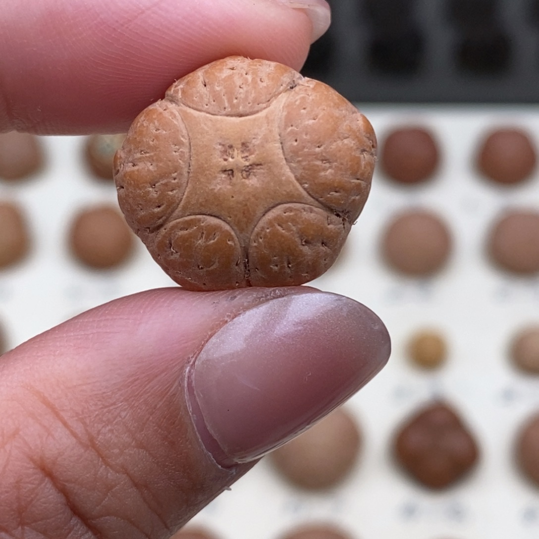 凤眼菩提吊坠五星