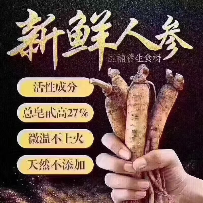 长白山现挖新鲜5年高丽参 现场采挖大人参  适合泡酒 送人 送礼