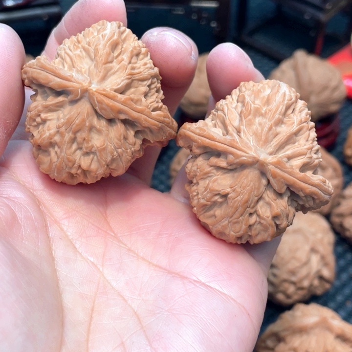 原装三角白狮子4.3全品无修。