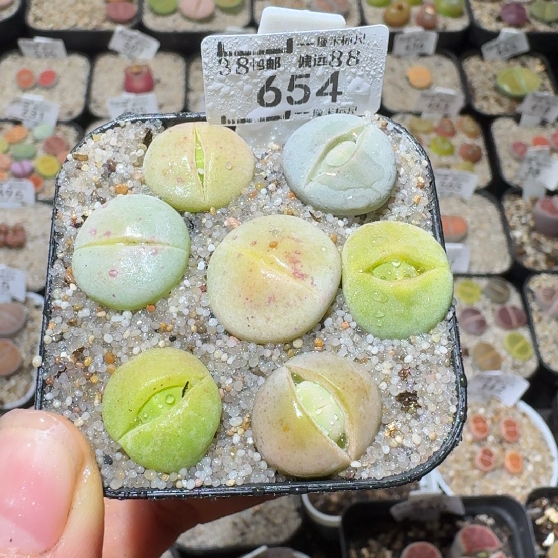 Sss清货了便宜走654