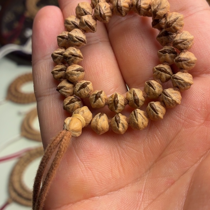 吊坠柏香籽/百香籽热振红牙原桩横打手串