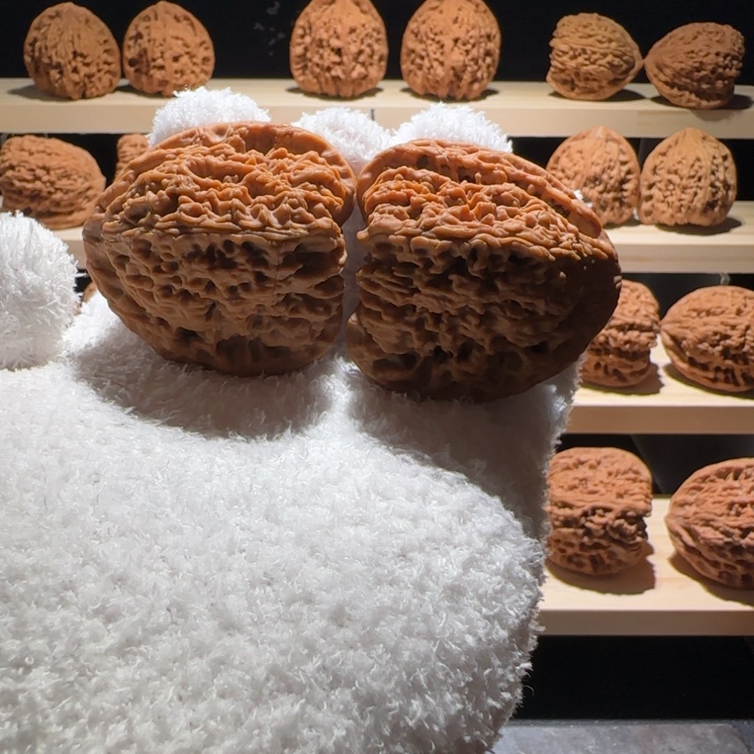 吊坠文玩核桃44奥迪黄金甲炮弹