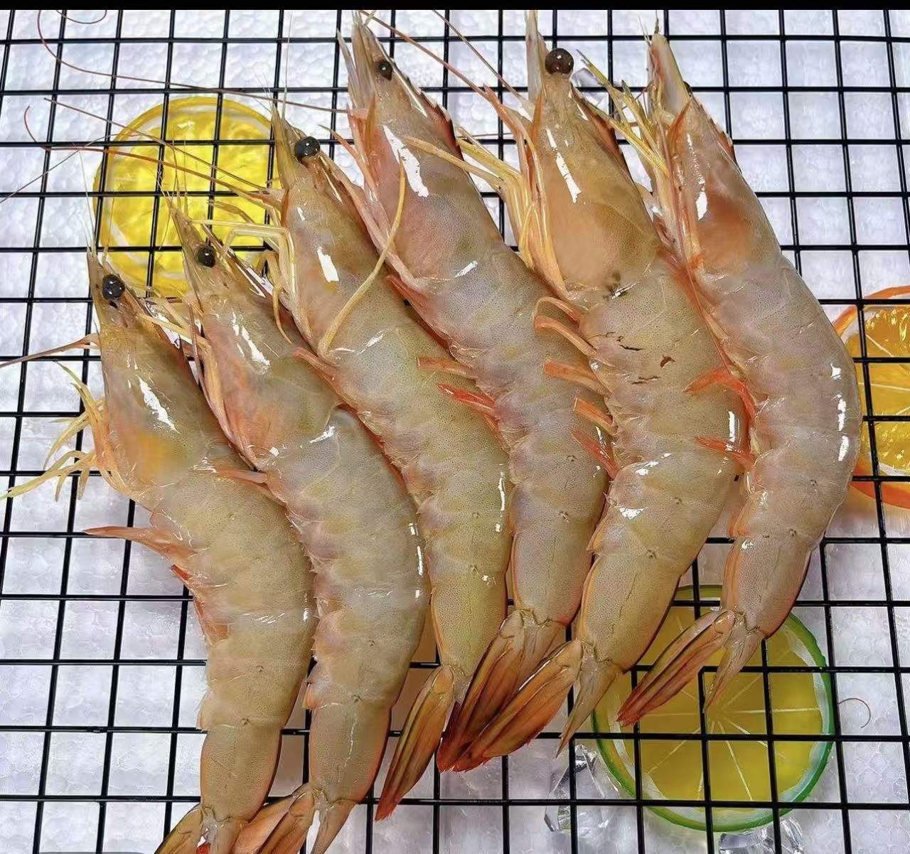 大号野生海捕对虾15头左右/斤