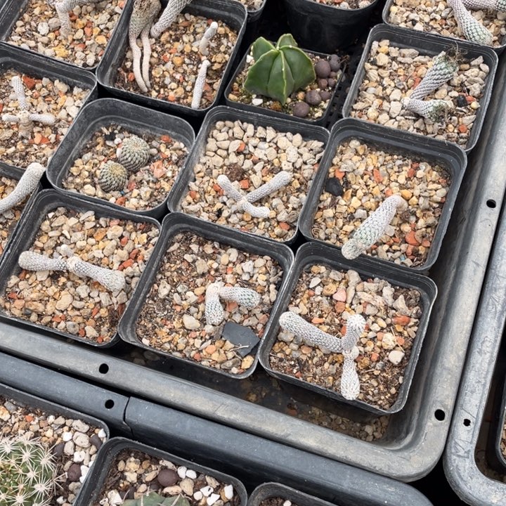 浮***光000000000000000000