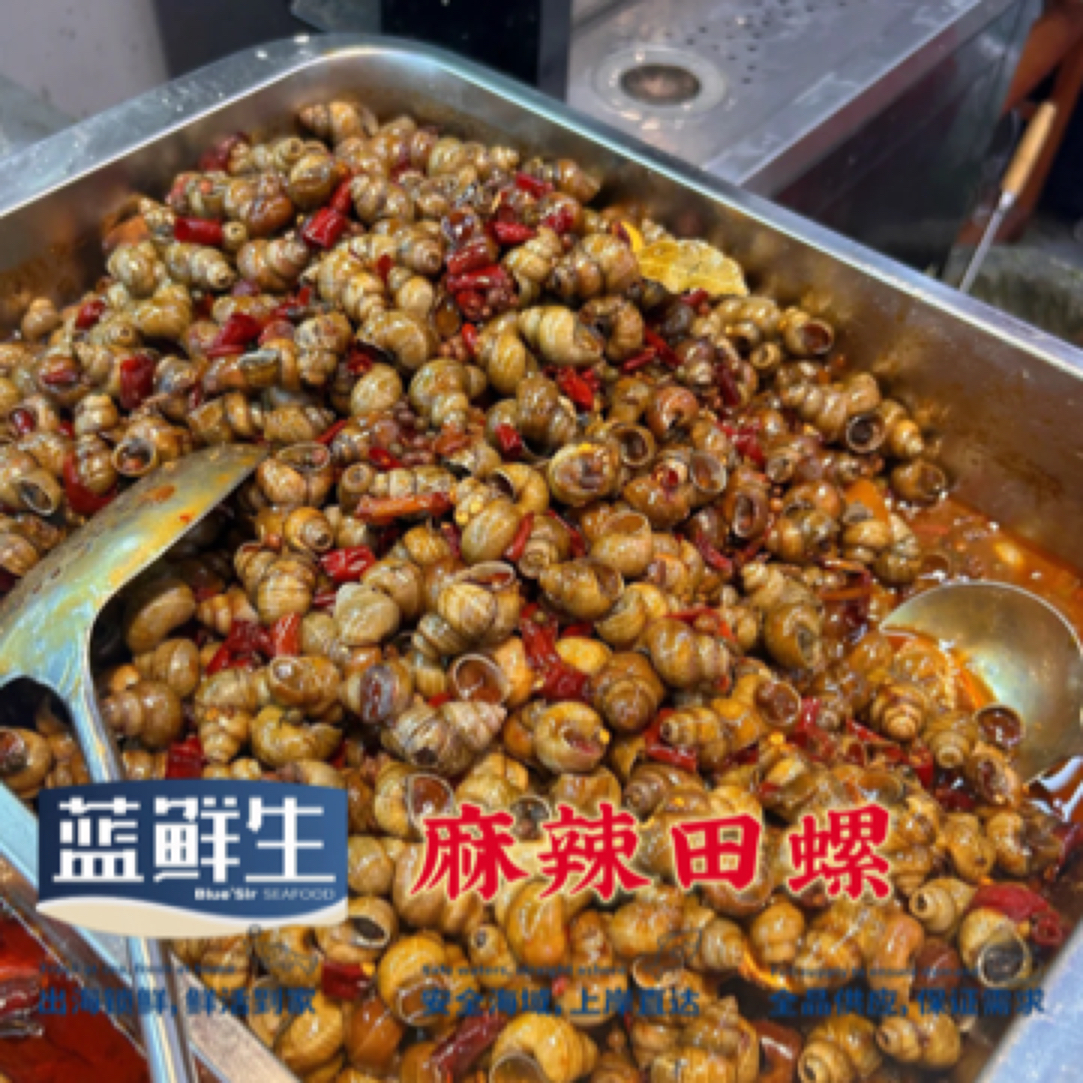 福利特惠辣炒田螺12.8元/500g海鲜