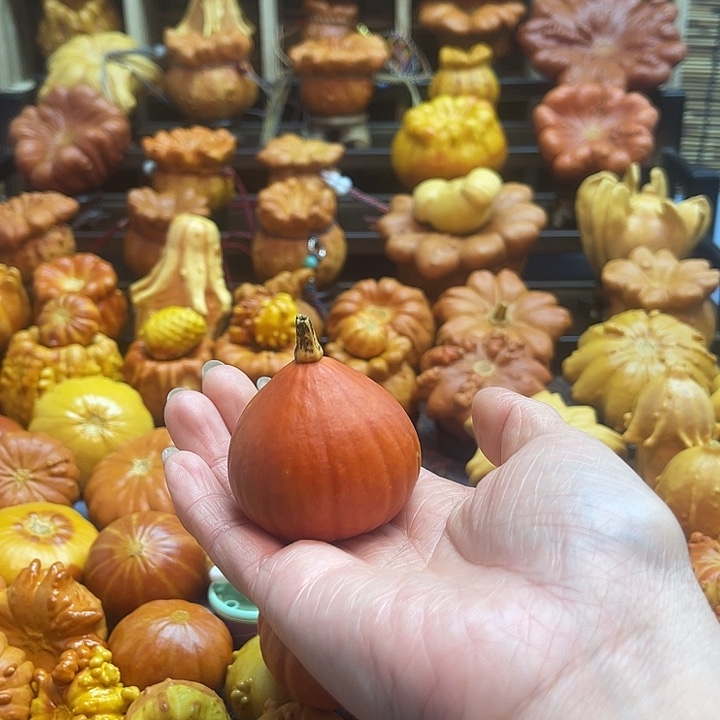 李***飞大叶紫檀（黑酸枝木类）