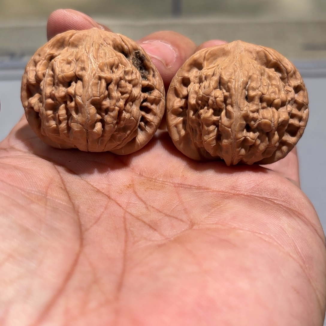 文玩核桃把件望月狮子头