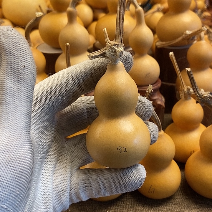 文玩葫芦 完美主义者 慎拍92