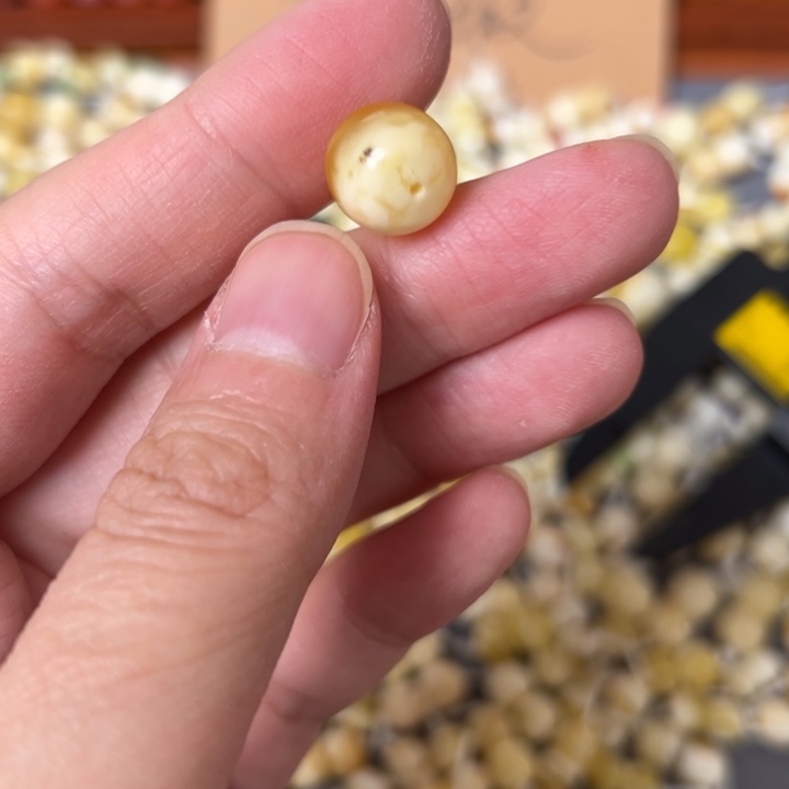 蜜蜡未镶嵌裸石11mm一个