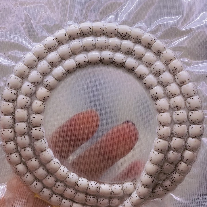 【闪购商品】星月菩提手串彩**行原白