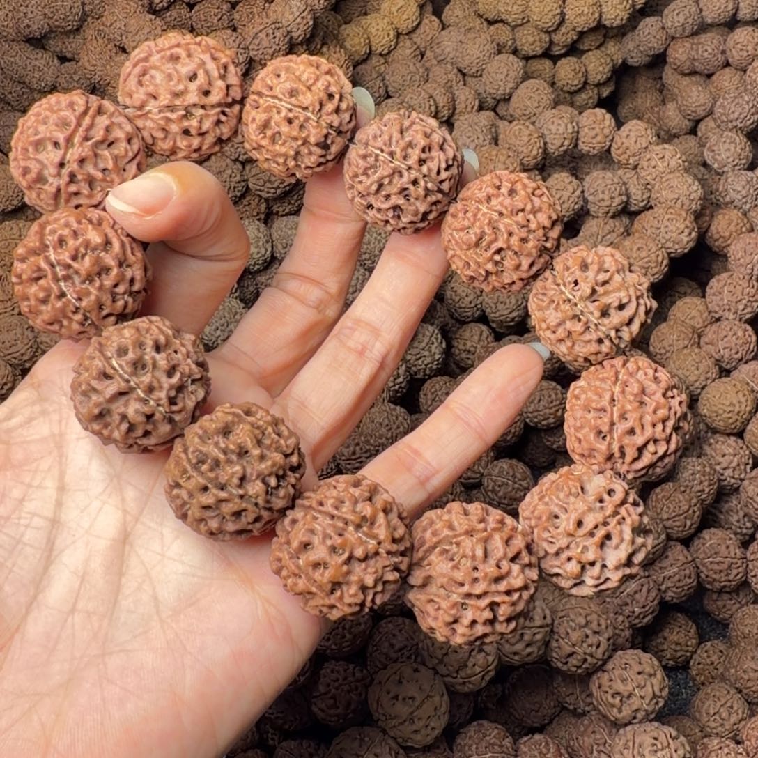 金刚菩提手串6瓣卡24尺，67号