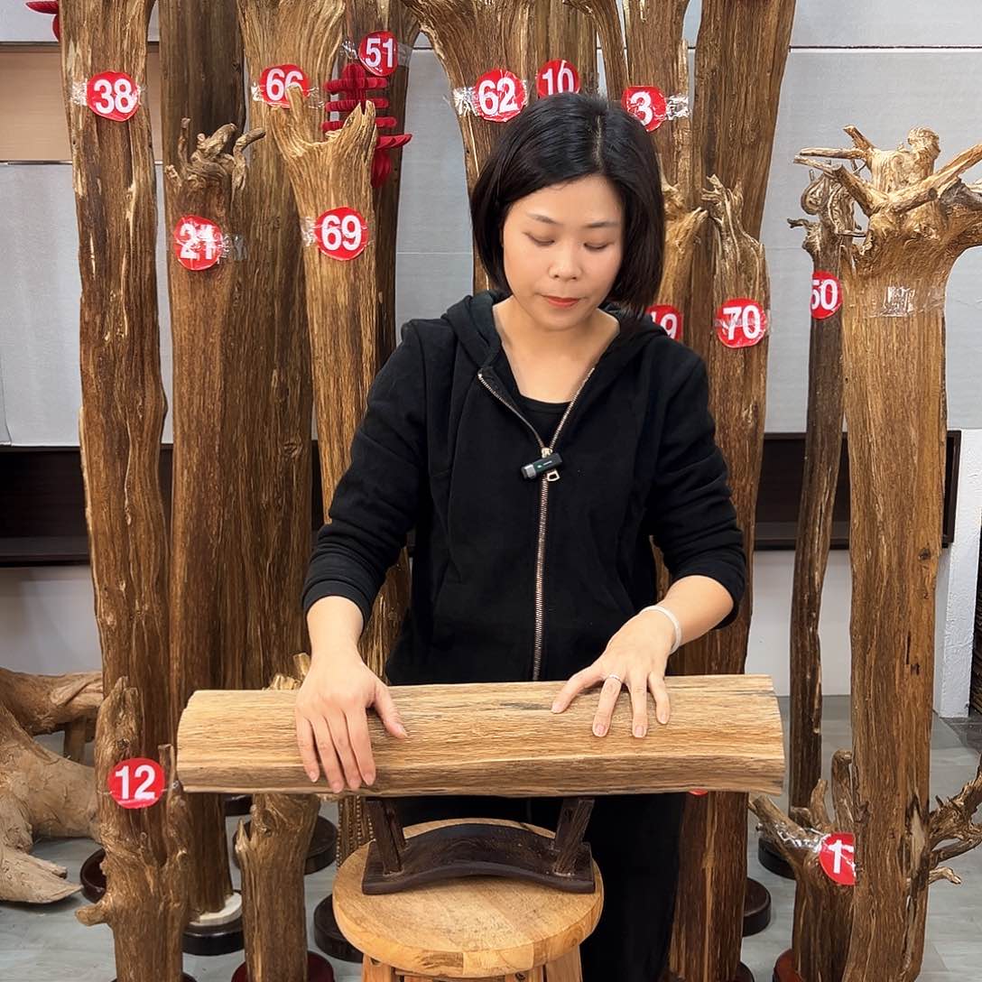 沉香摆件A****I海南沉香摆件