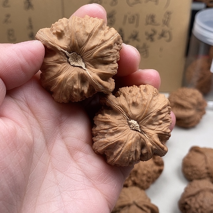 执***鼠木质类25.25.25.25.25.25