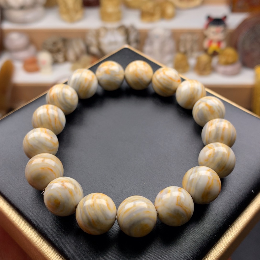 其他驼骨12猛犸臼齿单圈