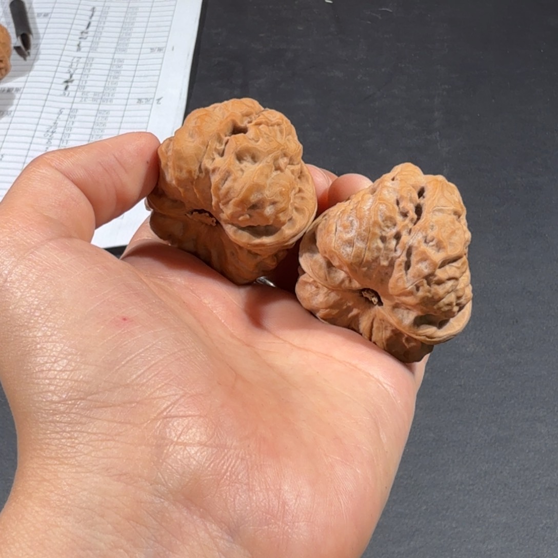 文玩核桃把件17号39mm蛤蟆头