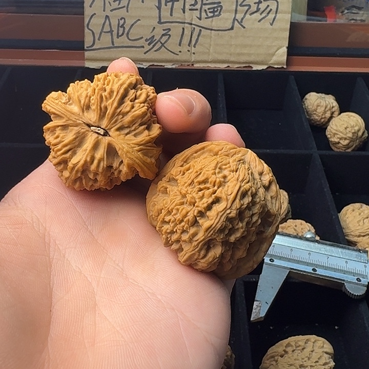 司***～大叶紫檀（黑酸枝木类）