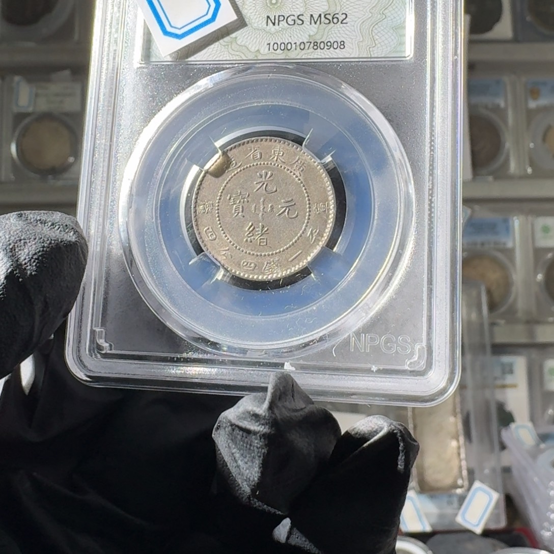 老***衲大叶紫檀（黑酸枝木类）62 广东二角龙一个 小师妹MM123