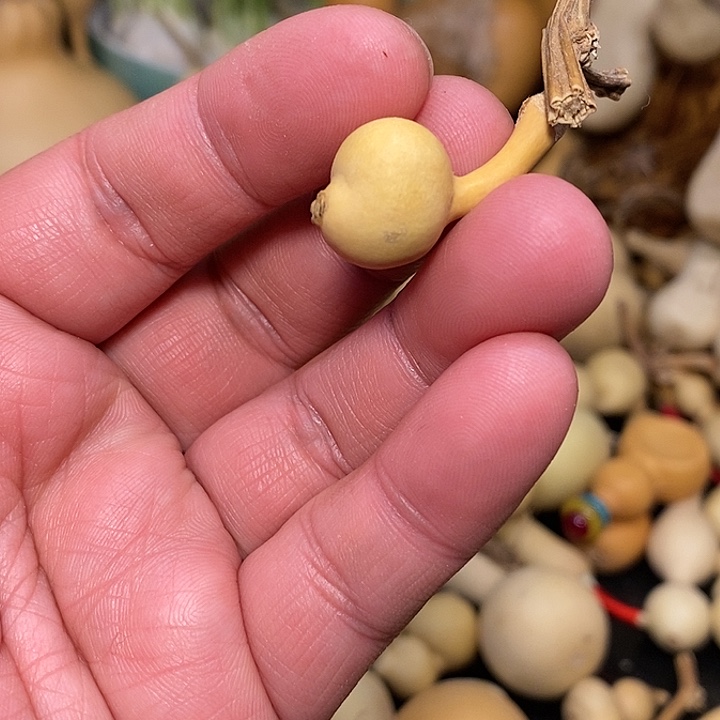 大**隆精品葫芦手把葫芦4