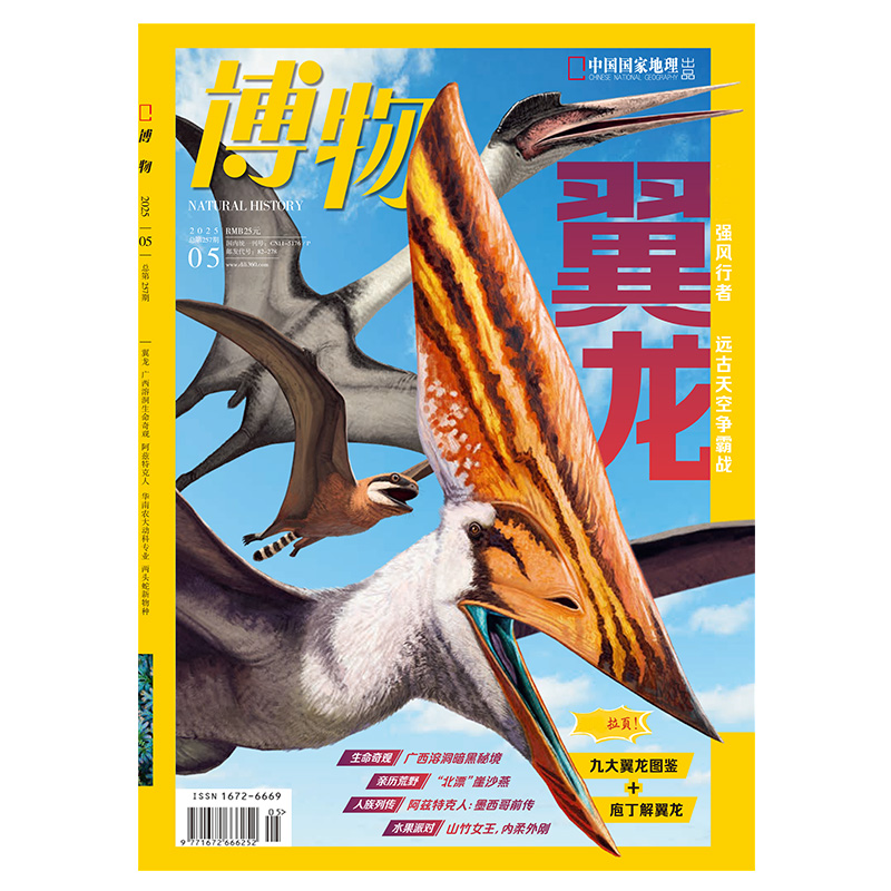中国国家地理 博物 杂志25年5月期刊翼龙专辑含九大翼龙图鉴拉页