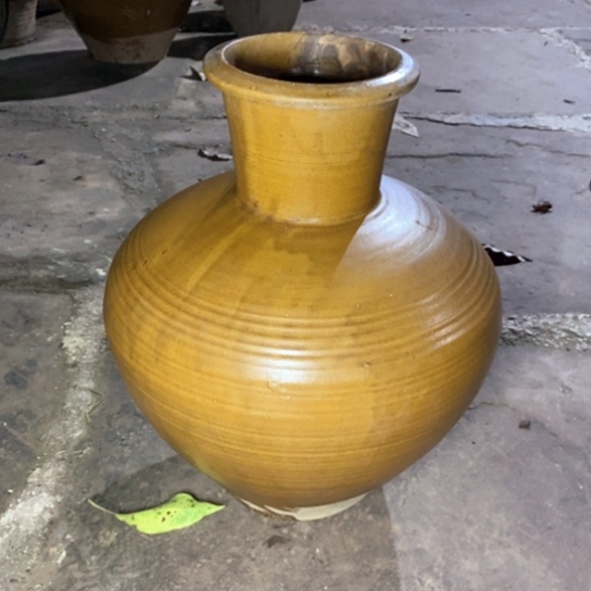 无花朵鲜花和小红花一起