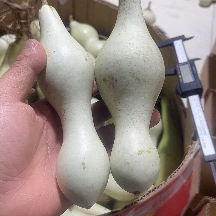 非洲紫檀（红花梨）雅****室