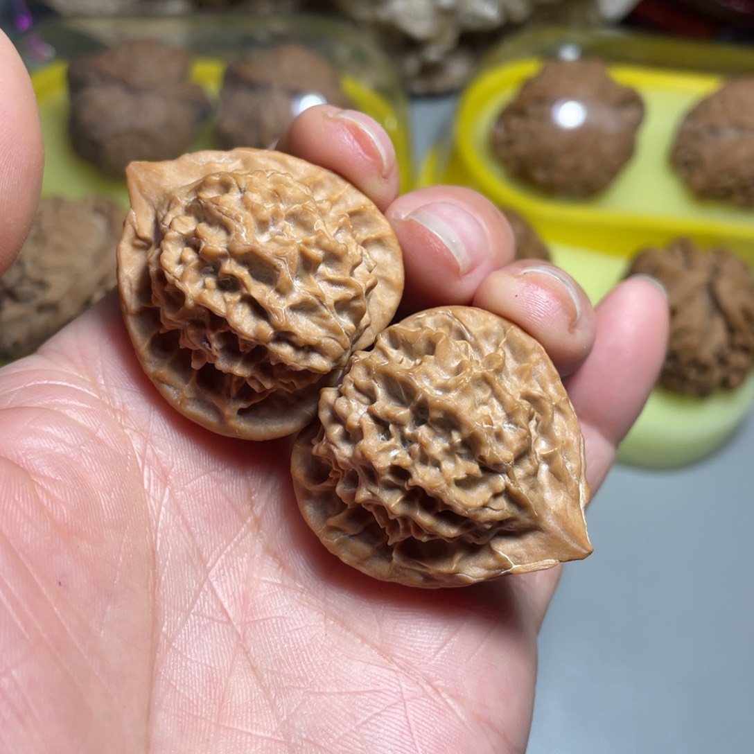 核桃手串/手链精品珊瑚塔33加